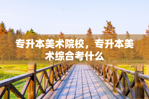 专升本美术院校，专升本美术综合考什么