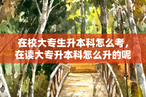 在校大专生升本科怎么考，在读大专升本科怎么升的呢