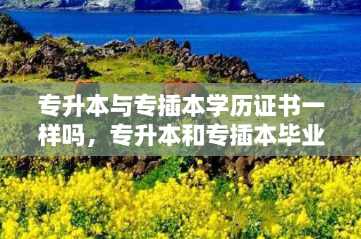 专升本与专插本学历证书一样吗，专升本和专插本毕业后和本科一样吗