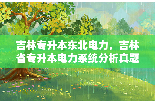 吉林专升本东北电力，吉林省专升本电力系统分析真题