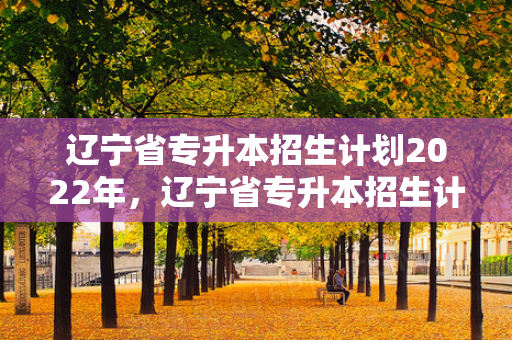 辽宁省专升本招生计划2022年，辽宁省专升本招生计划出完之后多久报名