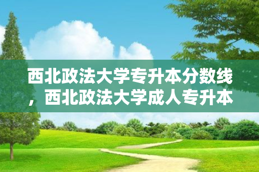 西北政法大学专升本分数线，西北政法大学成人专升本