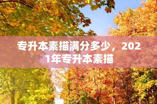 专升本素描满分多少，2021年专升本素描