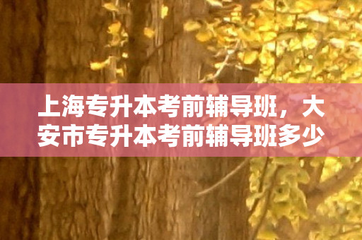 上海专升本考前辅导班，大安市专升本考前辅导班多少钱