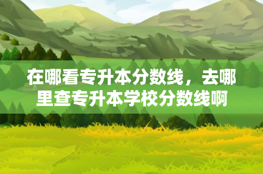在哪看专升本分数线，去哪里查专升本学校分数线啊