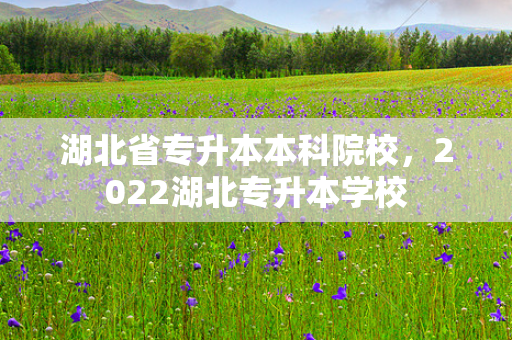 湖北省专升本本科院校，2022湖北专升本学校