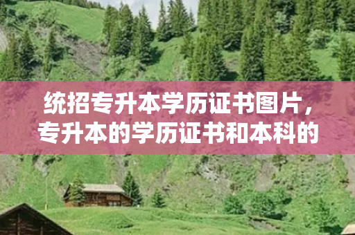 统招专升本学历证书图片，专升本的学历证书和本科的一样吗