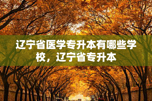 辽宁省医学专升本有哪些学校，辽宁省专升本