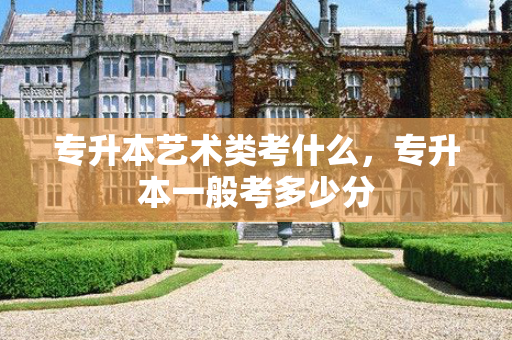 专升本艺术类考什么，专升本一般考多少分