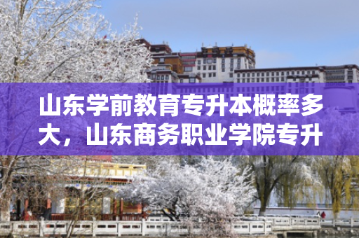 山东学前教育专升本概率多大，山东商务职业学院专升本概率