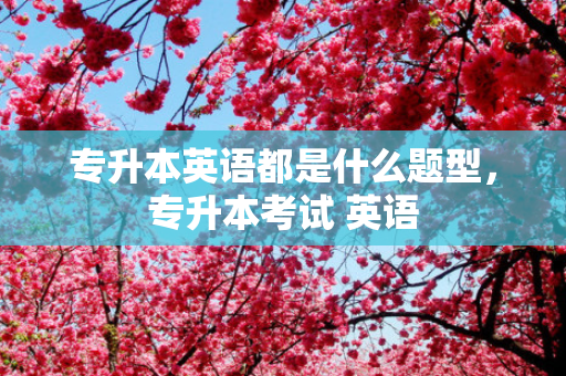 专升本英语都是什么题型，专升本考试 英语