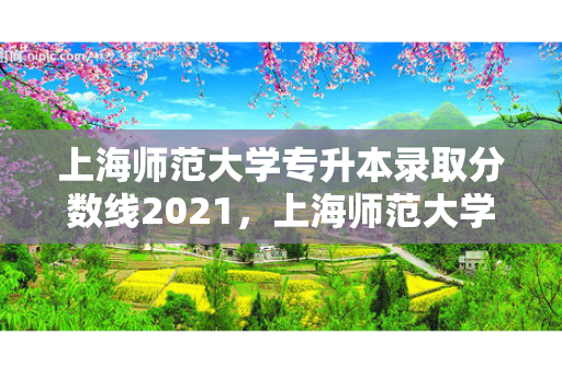 上海师范大学专升本录取分数线2021，上海师范大学专升本录取分数线2022