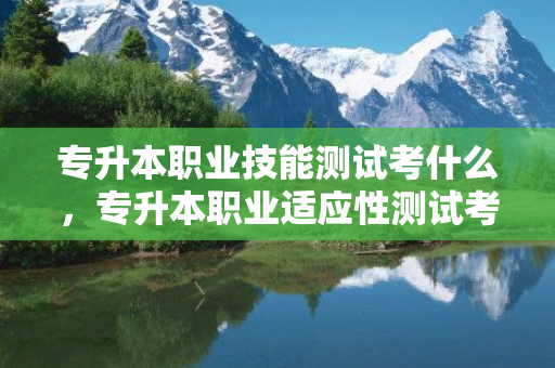 专升本职业技能测试考什么，专升本职业适应性测试考什么