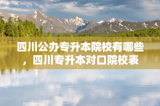 四川公办专升本院校有哪些，四川专升本对口院校表