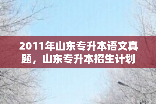 2011年山东专升本语文真题，山东专升本招生计划