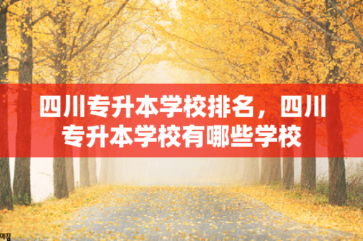 四川专升本学校排名，四川专升本学校有哪些学校