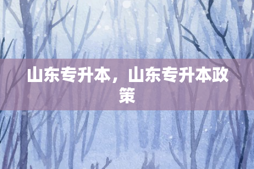 山东专升本，山东专升本政策