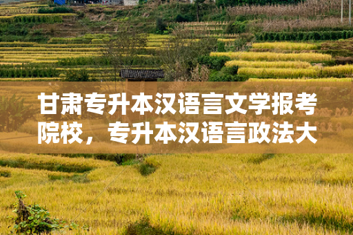 甘肃专升本汉语言文学报考院校，专升本汉语言政法大学甘肃录取分数