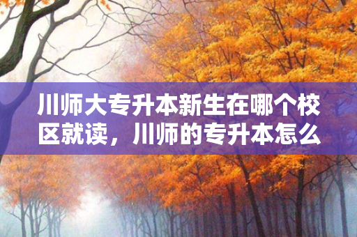 川师大专升本新生在哪个校区就读，川师的专升本怎么填学校信息