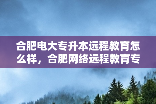 合肥电大专升本远程教育怎么样，合肥网络远程教育专升本学校