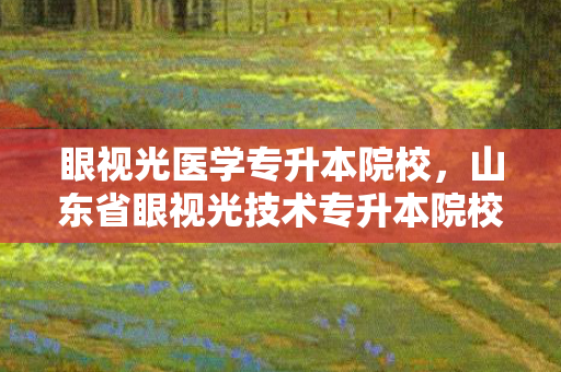 眼视光医学专升本院校，山东省眼视光技术专升本院校