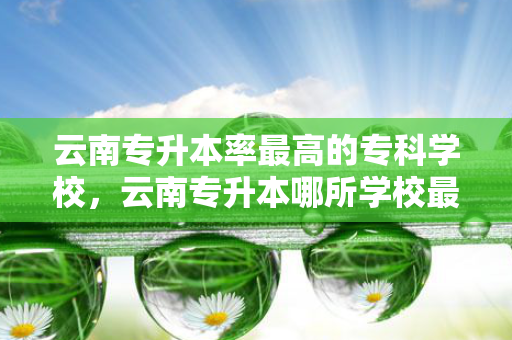 云南专升本率高的专科学校，云南专升本哪所学校好
