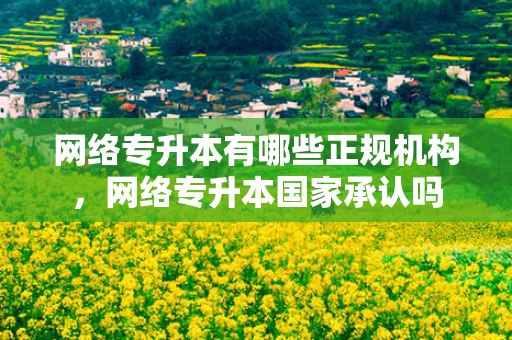 网络专升本有哪些正规机构，网络专升本国家承认吗