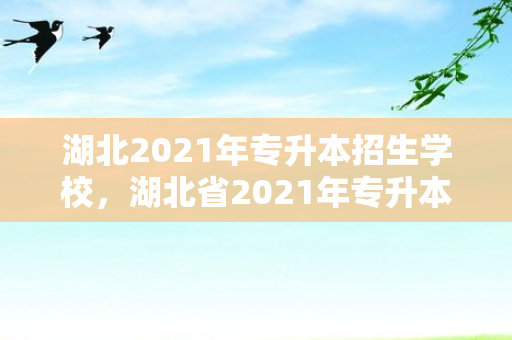 湖北2021年专升本招生学校，湖北省2021年专升本学校