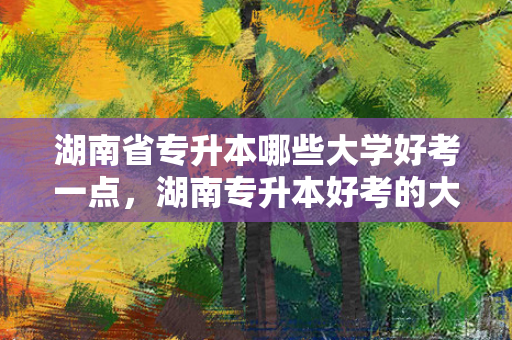湖南省专升本哪些大学好考一点，湖南专升本好考的大学