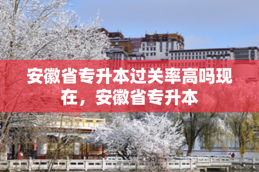 安徽省专升本过关率高吗现在，安徽省专升本