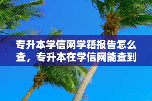 专升本学信网学籍报告怎么查，专升本在学信网能查到吗
