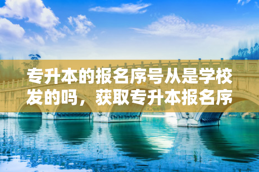 专升本的报名序号从是学校发的吗，获取专升本报名序号是什么意思