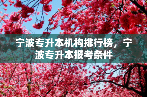 宁波专升本机构排行榜，宁波专升本报考条件