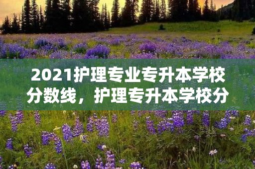 2021护理专业专升本学校分数线，护理专升本学校分数线