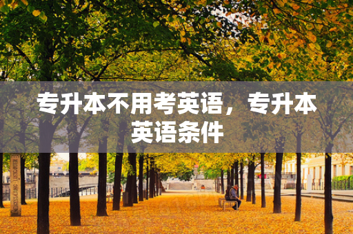 专升本不用考英语，专升本英语条件
