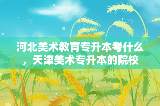 河北美术教育专升本考什么，天津美术专升本的院校