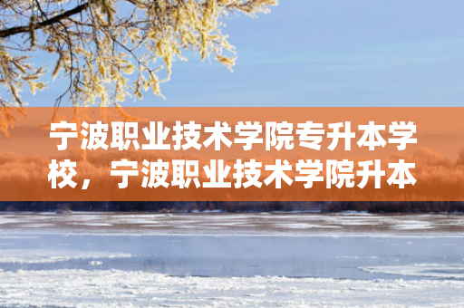 宁波职业技术学院专升本学校，宁波职业技术学院升本科