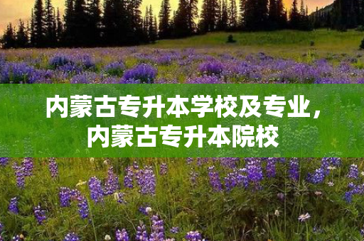 内蒙古专升本学校及专业，内蒙古专升本院校