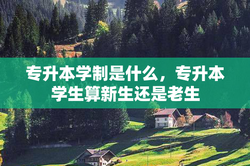 专升本学制是什么，专升本学生算新生还是老生