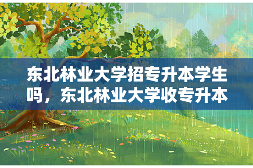 东北林业大学招专升本学生吗，东北林业大学收专升本吗