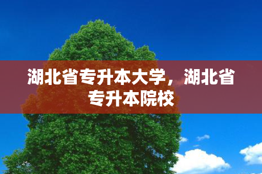 湖北省专升本大学，湖北省专升本院校