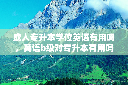成人专升本学位英语有用吗，英语b级对专升本有用吗