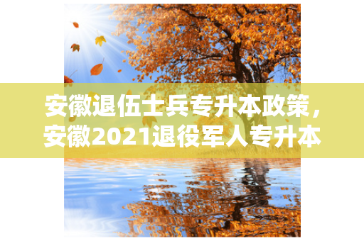 安徽退伍士兵专升本政策，安徽2021退役军人专升本新政策