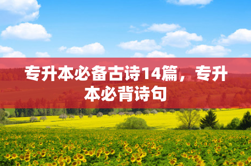 专升本必备古诗14篇，专升本必背诗句