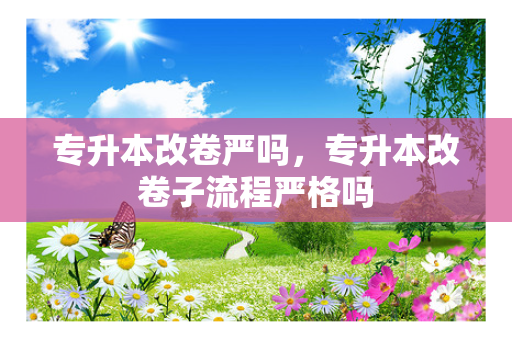 专升本改卷严吗，专升本改卷子流程严格吗