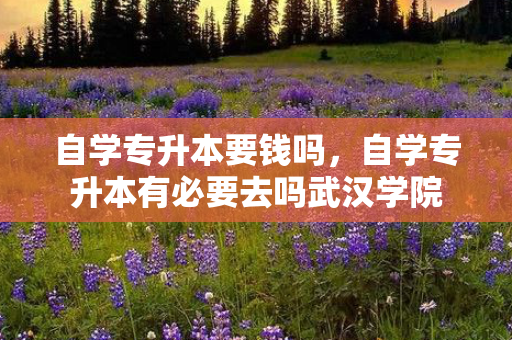 自学专升本要钱吗，自学专升本有必要去吗武汉学院