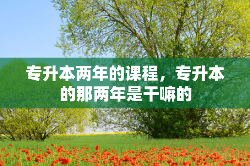 专升本两年的课程，专升本的那两年是干嘛的