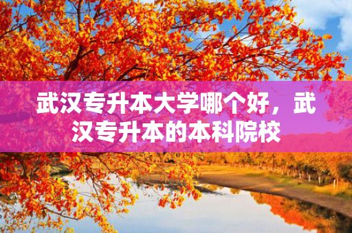 武汉专升本大学哪个好，武汉专升本的本科院校