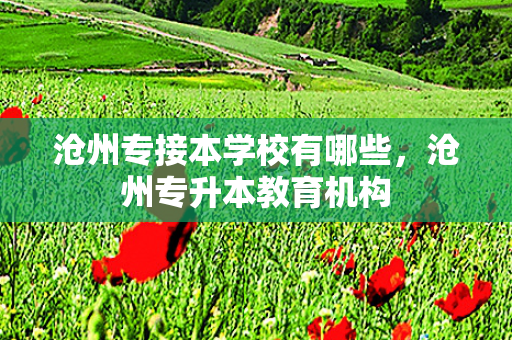 沧州专接本学校有哪些，沧州专升本教育机构