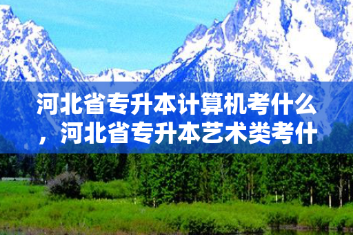 河北省专升本计算机考什么，河北省专升本艺术类考什么